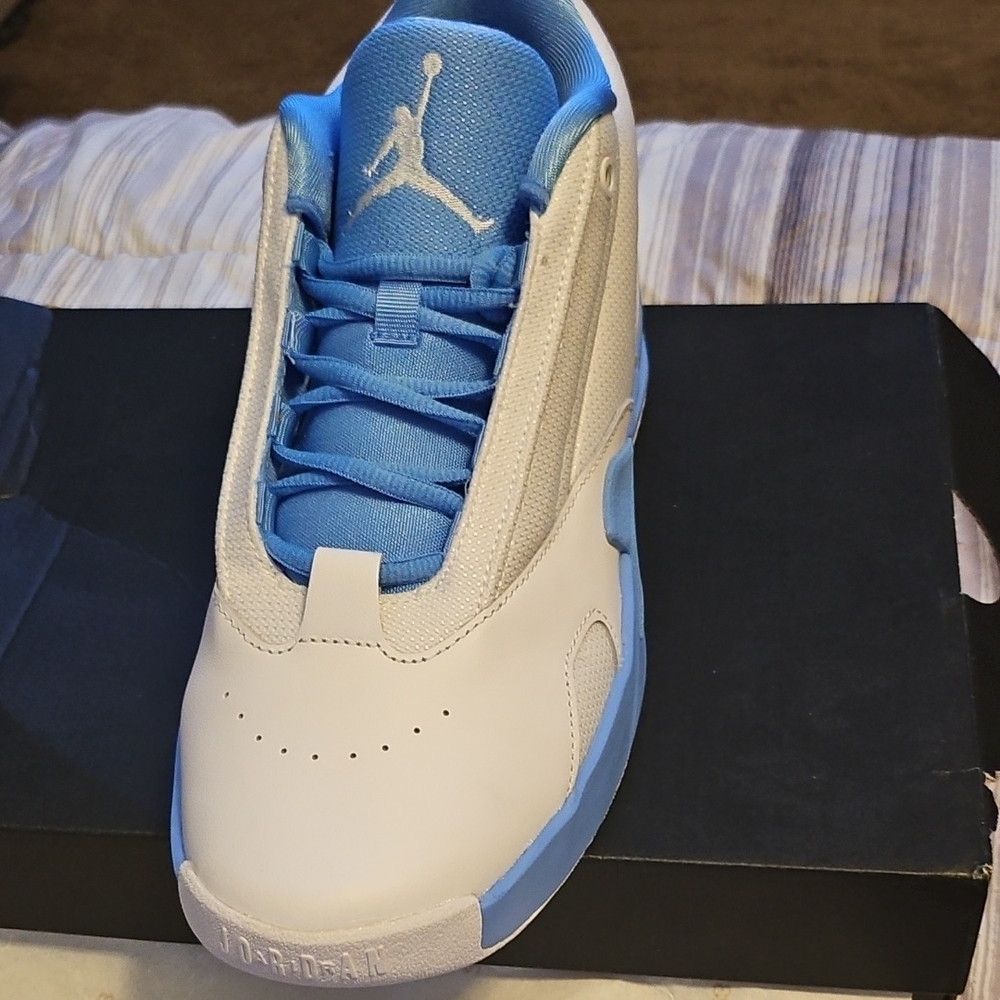 Air Jordan Blue and White Sneakers